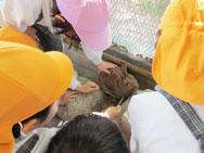 はっぱ食べるかな〜?