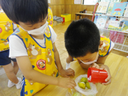 梅干しの塩漬け☆お友達と一緒に☆
