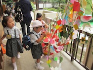 幼稚園に来てお母さんと一緒に、笹に飾りをつけたよ!