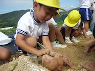 おいも堀り♪