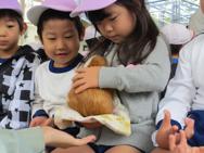 年中☆園外保育(園児大会・動物園)