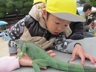 ふれあい動物園
