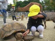 ふれあい動物園