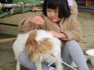 ふれあい動物園