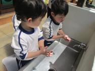 せいかつ