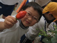 せいかつ