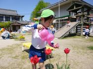 せいかつ