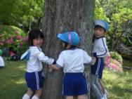 せいかつ
