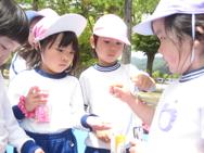 せいかつ