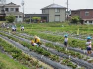 つくしんぼ教室