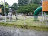 つくしんぼ教室