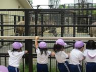 幼稚園大会に行ってきました〜年中〜