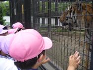 幼稚園大会に行ってきました〜年中〜