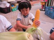 夏の恵みをいただきます