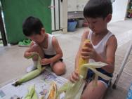 夏の恵みをいただきます