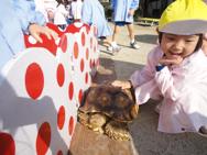 ふれあい動物園