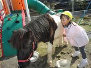 ふれあい動物園