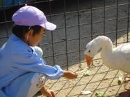 ふれあい動物園