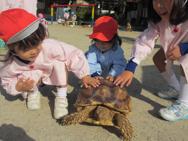 ふれあい動物園