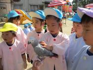 ふれあい動物園