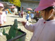 ふれあい動物園