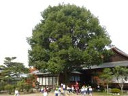 ふれあい動物園