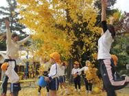 ふれあい動物園