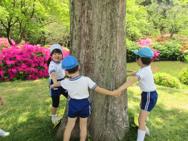 進級式・入園式
