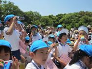 大きい組さん園児大会