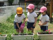 中の組さんがお花を植えてくれました♪