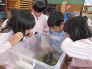 生活