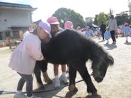 移動動物園