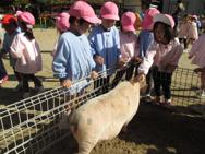 移動動物園
