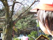 移動動物園