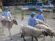 移動動物園