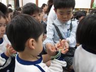 せいかつ
