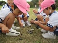 梅小路公園へ散歩(年中)