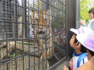 動物園(年中)
