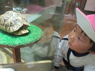 動物園(年中)