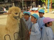 ふれあい動物園(年中)