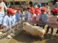 ふれあい動物園(年中)