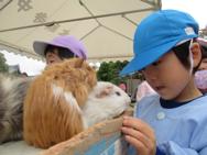 ふれあい動物園(年中)
