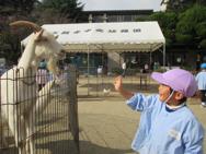 ふれあい動物園(年中)