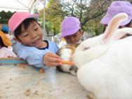 ふれあい動物園(年中)