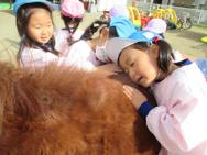 ふれあい動物園(年中)