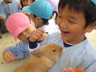 ふれあい動物園(年中)