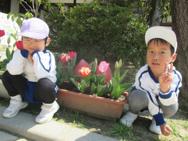 幼稚園のお花
