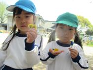 幼稚園のお花