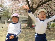 幼稚園のお花