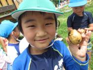 野菜収穫